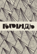Обкладинка книги "Бридь"