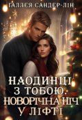 Обкладинка книги " Наодинці з тобою. Новорічна ніч у ліфті"