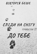 Обкладинка книги "Сліди на снігу привели її до тебе"