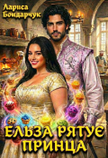 Обкладинка книги "Ельза рятує принца"