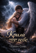Обкладинка книги "&laquo;крила заради тебе&raquo; "