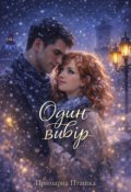 Обкладинка книги "Один вибір"