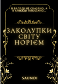 Обкладинка книги "Заколупки світу Норієм"