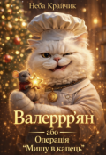Обкладинка книги "Валеррр'ян, операція: Мишу в капець!"