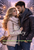 Обкладинка книги "Збіг на снігу"