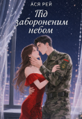 Обкладинка книги "Під забороненим небом"