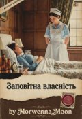Обкладинка книги "Заповітна власність"
