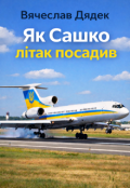Обкладинка книги "Як Сашко літак посадив"