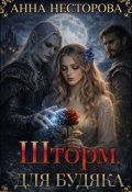 Обкладинка книги "Шторм для Будяка"