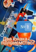 Обкладинка книги "Два юнака і ... підприємство"