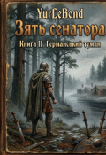 Обкладинка книги "Зять сенатора. Книга ІІ. Германський туман."