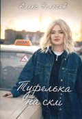 Обкладинка книги "Туфелька на склі"