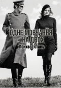 Обкладинка книги "Одне мовчання на двох. Психоз і сталь"