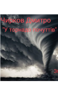 Обкладинка книги "У торнадо почуттів "