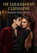 Обкладинка книги "Не ідеальний сценарій"