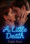 Обкладинка книги "A Little Death"