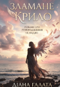 Обкладинка книги "Зламане крило "