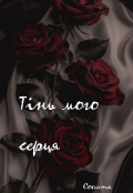 Обкладинка книги "Тінь мого серця "