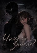 Обкладинка книги "Чому ти зникла ?"
