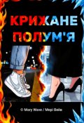 Обкладинка книги "Крижане полум'я"