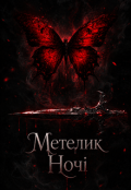 Обкладинка книги "Метелик Ночі"