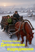 Обкладинка книги "Дивовижне відрядження"