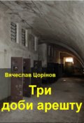 Обкладинка книги "Три доби арешту"