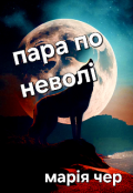 Обкладинка книги "Пара по неволі"