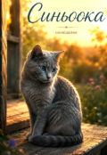 Обкладинка книги ""Синьоока""
