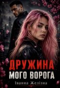 Обкладинка книги "Дружина мого ворога"