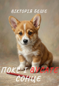 Обкладинка книги "Покс і вусате сонце"