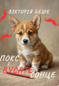 Обкладинка книги "Покс і вусате сонце"