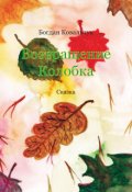 Обкладинка книги "Возвращение Колобка"