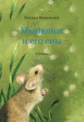 Обкладинка книги "Мышонок и его сны"