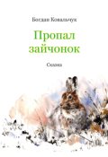 Обкладинка книги "Пропал зайчонок"