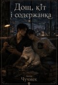 Обкладинка книги "Дощ, кіт і содєржанка"