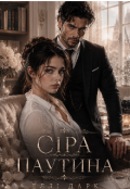 Обкладинка книги "Сіра паутина"