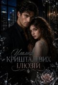 Обкладинка книги "Уламки кришталевих ілюзій"