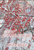 Обкладинка книги "Порятуй моє серце"