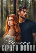 Обкладинка книги "Таємниця Сірого Вовка"