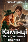 Обкладинка книги "Камінці. Переддипломна практика"
