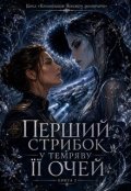 Обкладинка книги "Перший стрибок у темряву її очей"