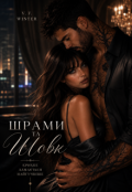 Обкладинка книги "Шрами та Шовк"