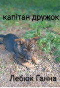 Обкладинка книги "Капітан Дружок"