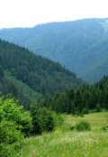 Обкладинка книги "Лише там, там де нас нема.."