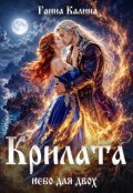 Обкладинка книги "Крилата. Небо для двох"