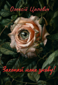 Обкладинка книги "Закопай мене знову! "