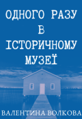 Обкладинка книги "Одного разу в історичному музеї"