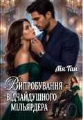 Обкладинка книги "Випробування відчайдушного мільярдера "