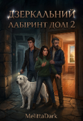 Обкладинка книги "Дзеркальний лабіринт долі 2 "